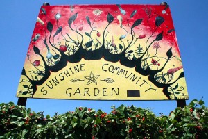 Sunshine Gardens